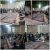 PhotoGrid_Site_1787332384973
